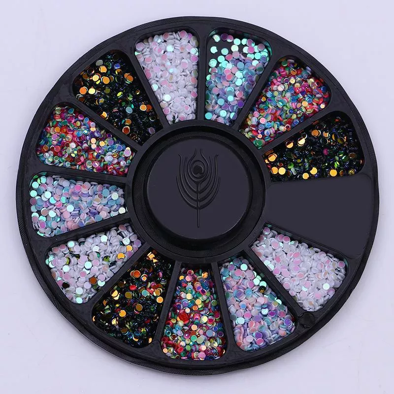 12 Grid Multicolor Disc Nail Sequins