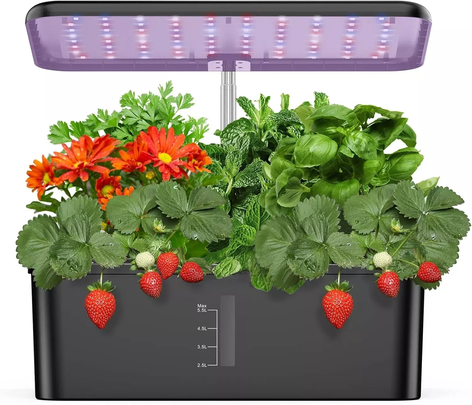 12 Pods Hydroponics Growing System, Indoor Garden with LED Grow Light