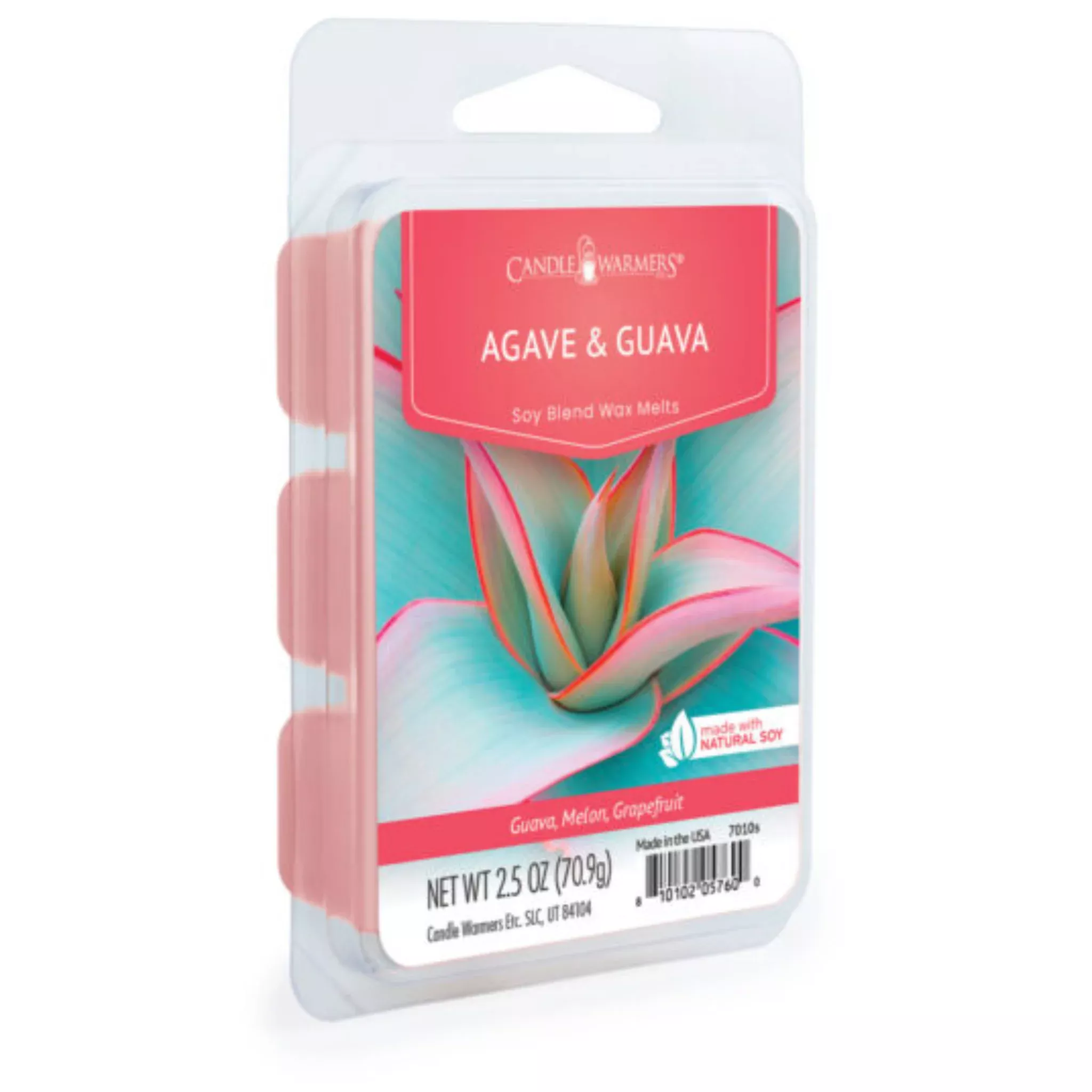 Agave & Guava Classic Wax Melt