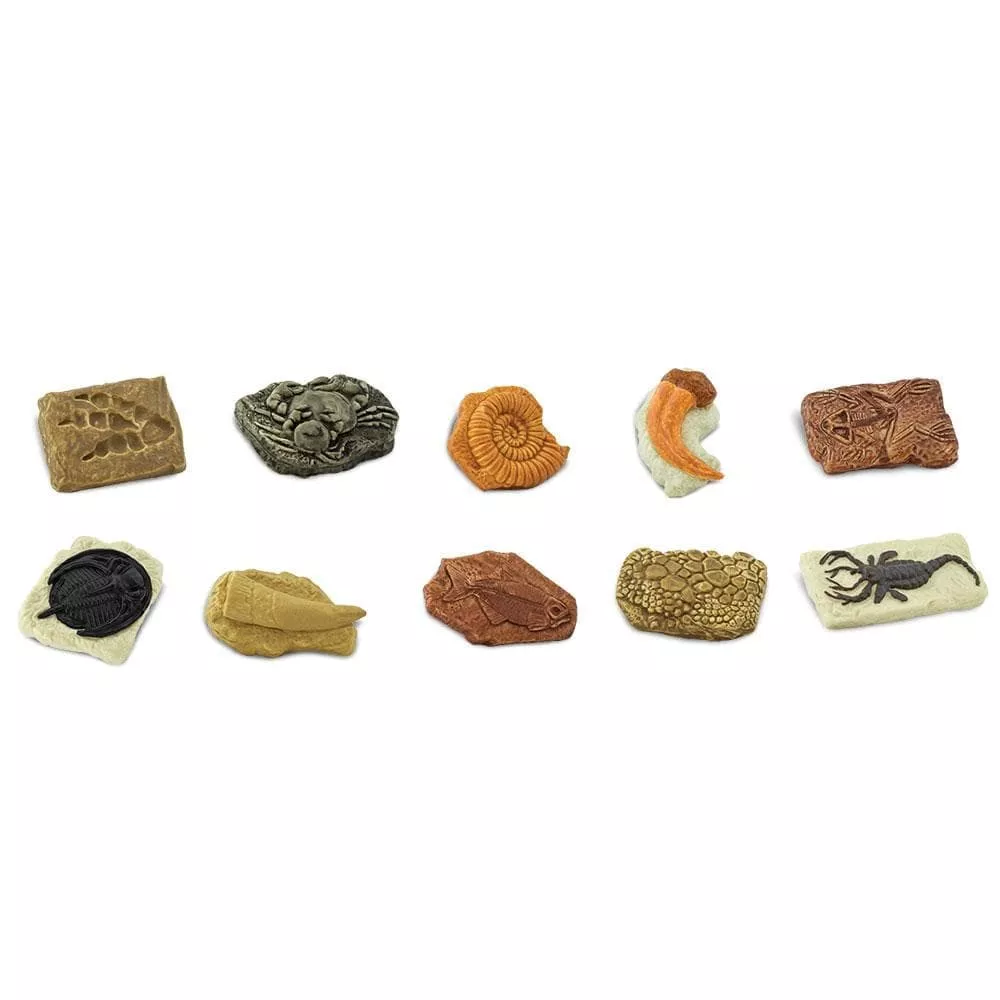 Ancient Fossils TOOB