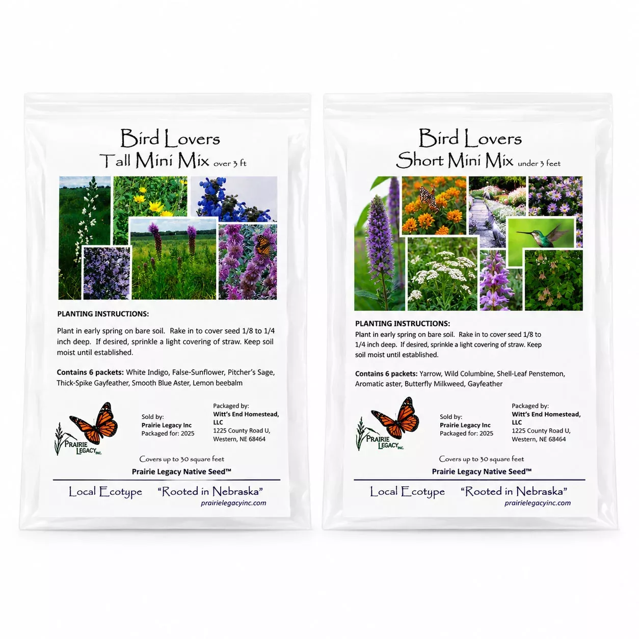 Backyard Bird Wildflower Bundle | Tall & Short Mini Mixes | Prairie Legacy Inc.