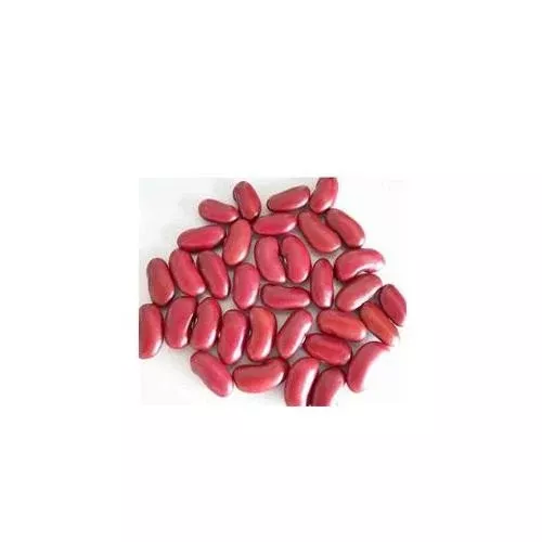 Beans Dark Red Kidney Bean- 25Lb