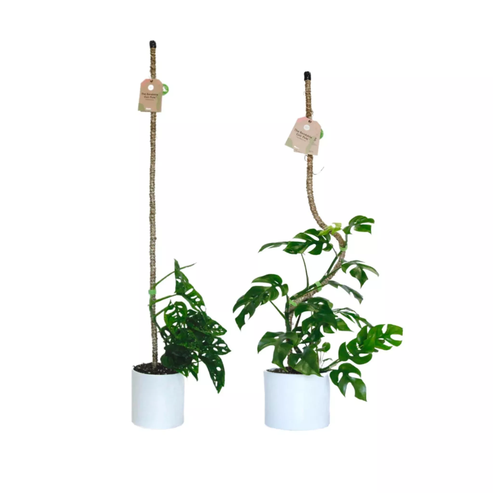 Bendable Plant Coir Pole