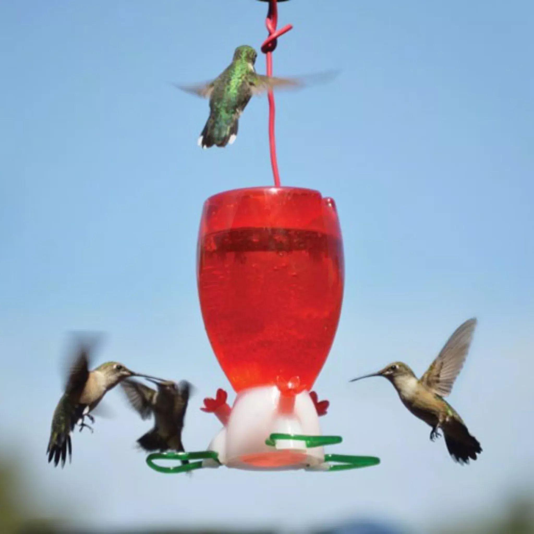 Big Red Hummingbird Feeder