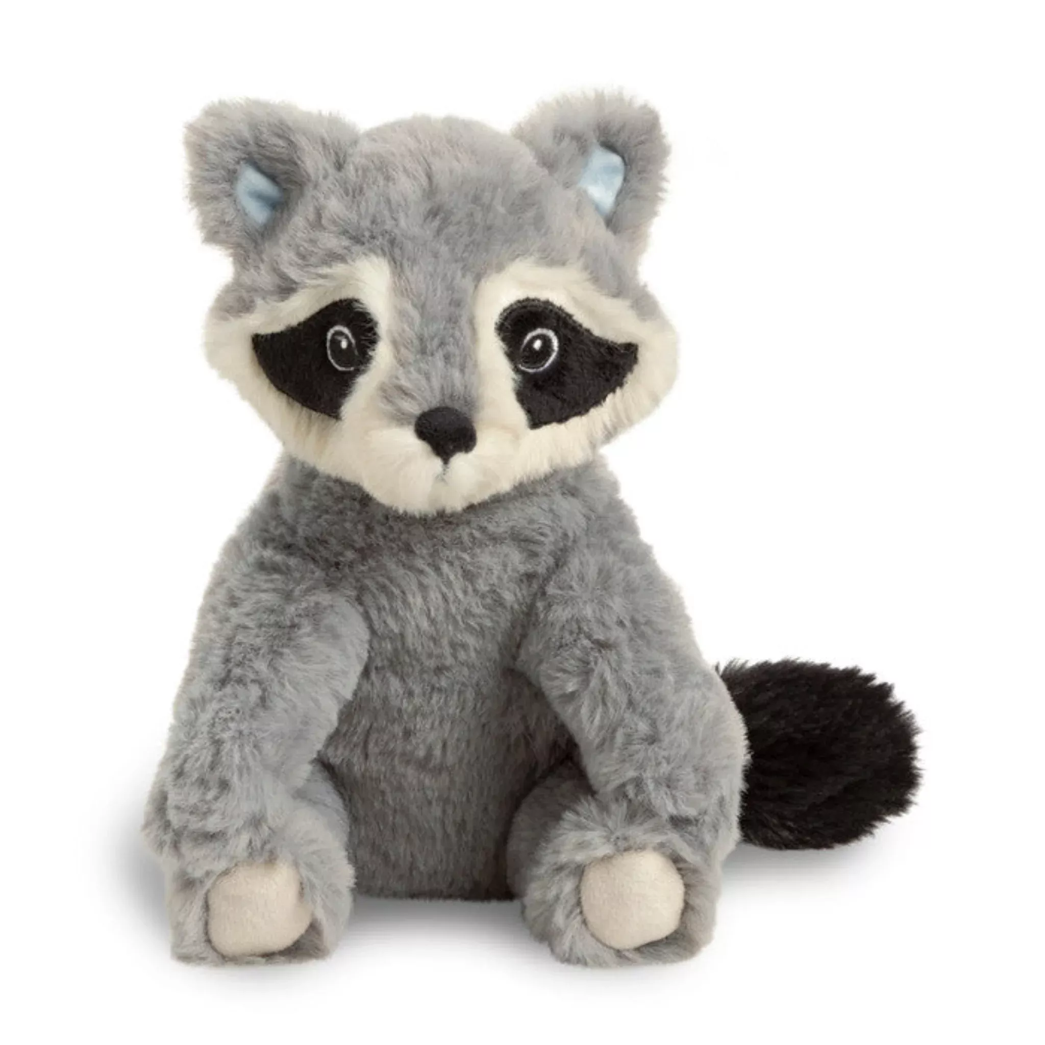Chasing Dream Raccoon