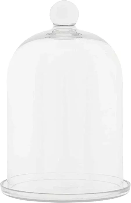 Clear Round Glass Cloche w/ Plate - 12.25"