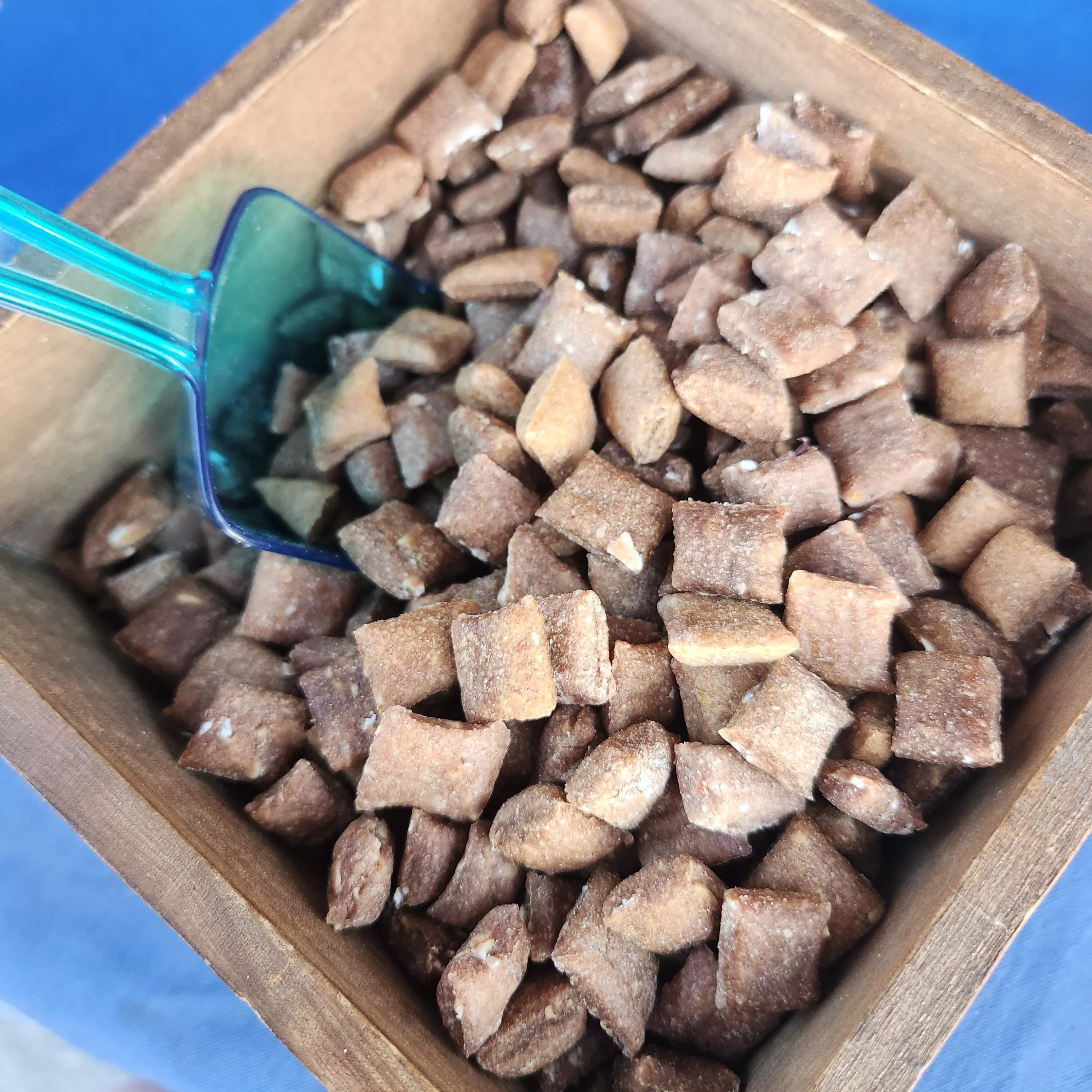 Dog Training Bites | 1 Cup Mixed Flavor | Dogalicious