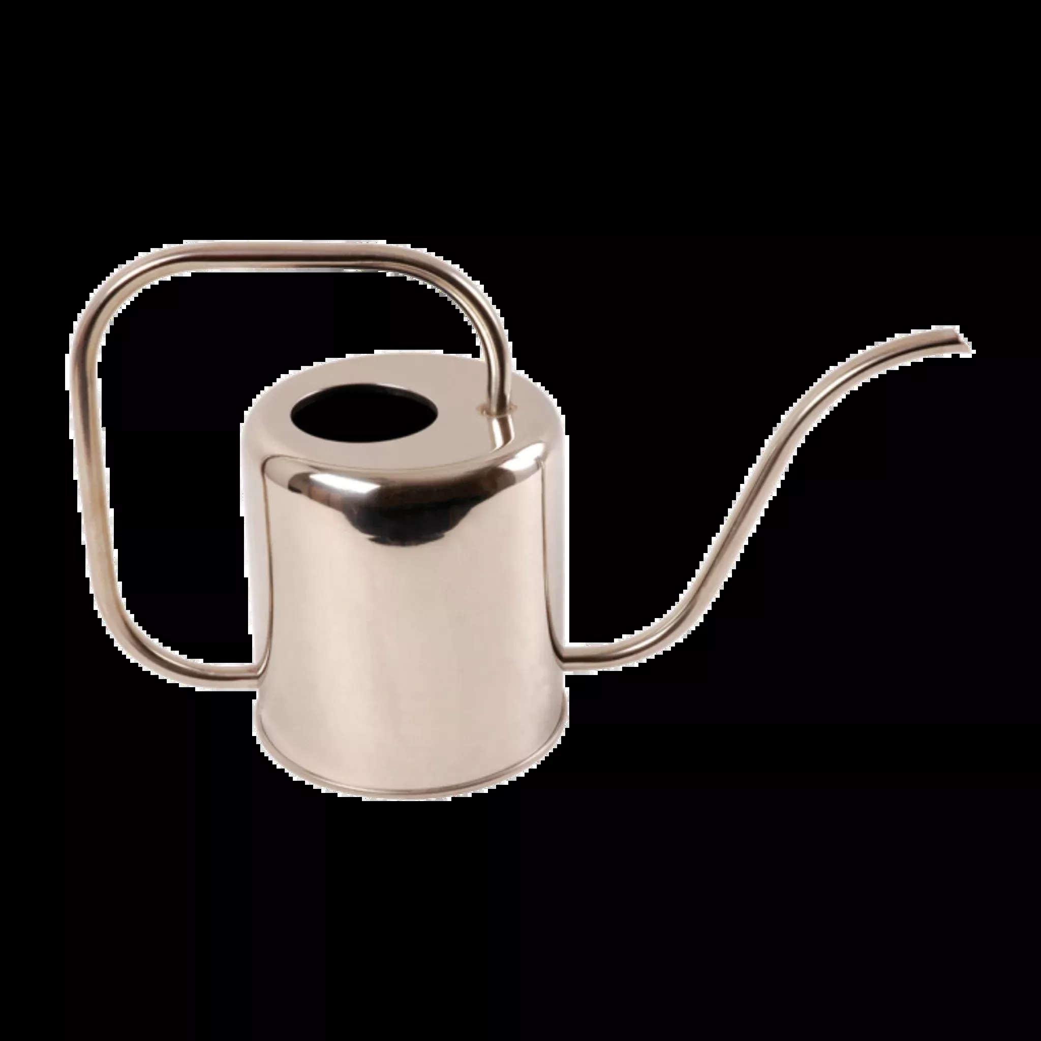 Large Precise Ergonomic Watering Can