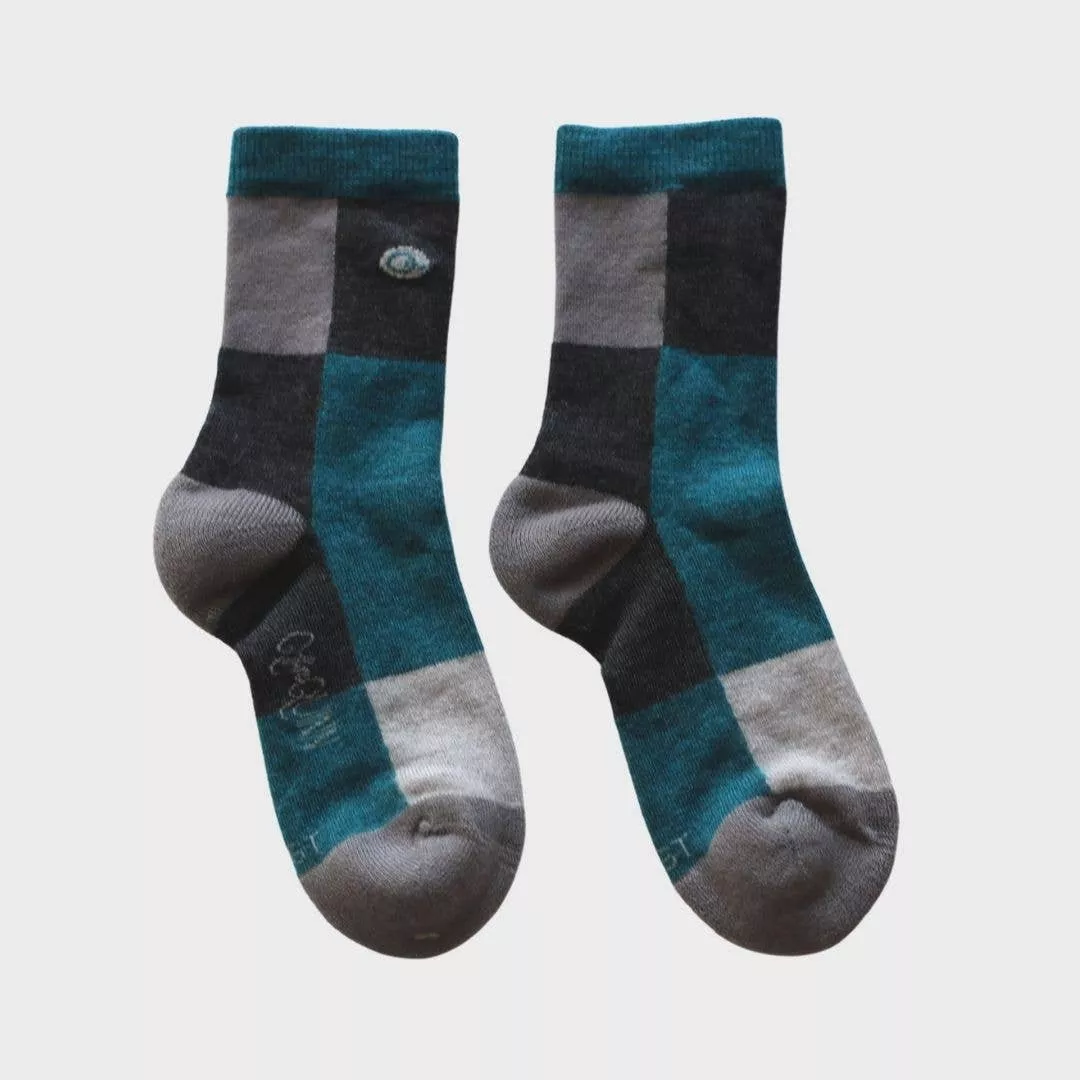 Merino Wool Adult Socks: Colorblock