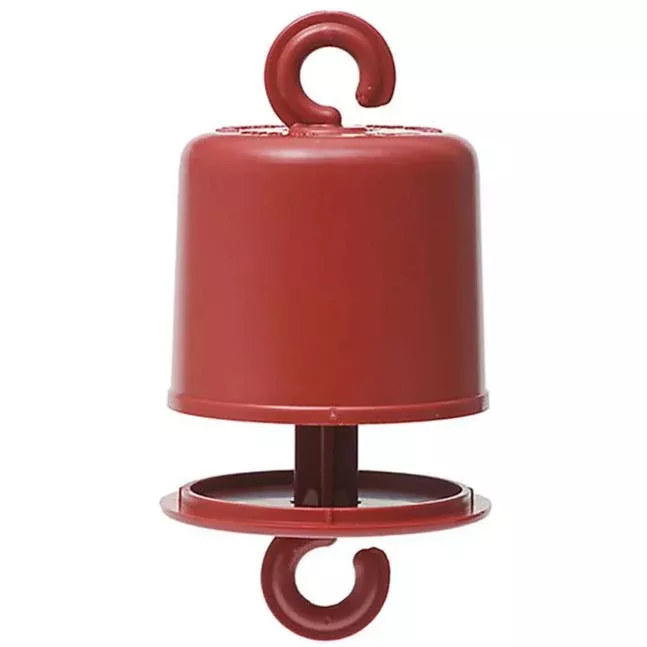Perky-Pet Hummingbird Feeder Ant Moat