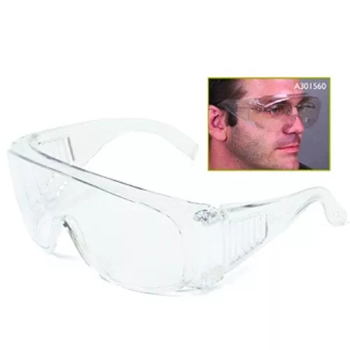 The Safety Zoneâ Visitor Specs Clear Frame