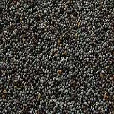 Seeds Poppy Seeds- 5Lb