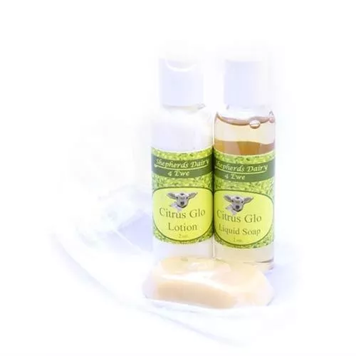 Small Bath & Body Gift Bag | Multiple Scents | Shepherd's Dairy 4 Ewe