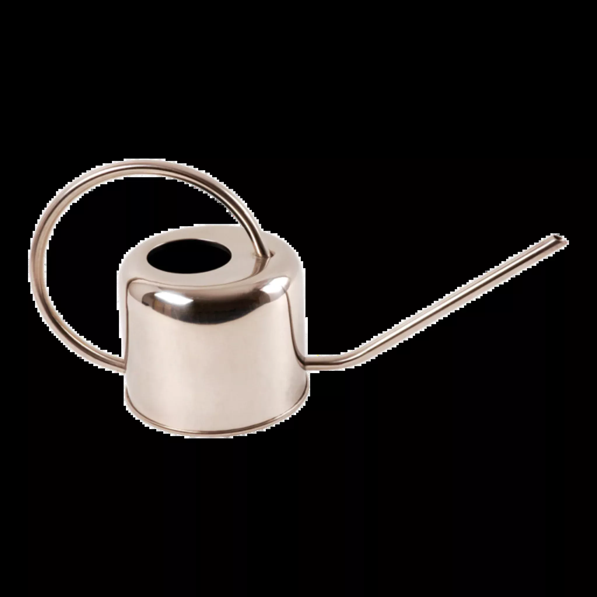 Small Precise Ergonomic Watering Can