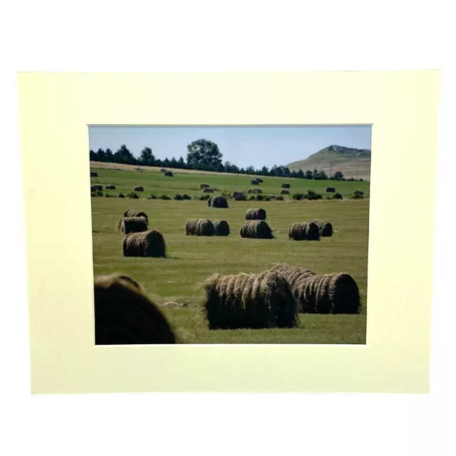“Summer Harvest” | 8x10 Photograph | 2 The Ends of the Earth