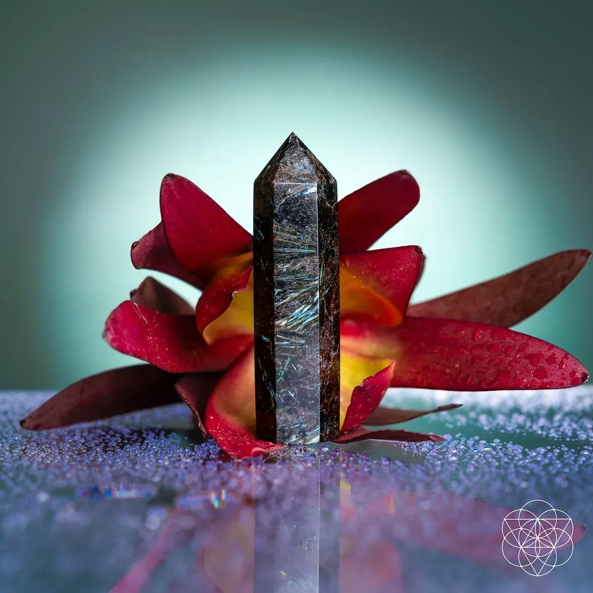 This Is Your Breakthrough – Rare Arfvedsonite Point