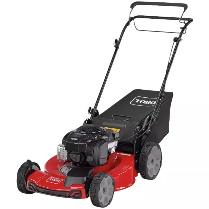 Toro Recycler 150cc Gasoline Self-Propelled Mower - 22"