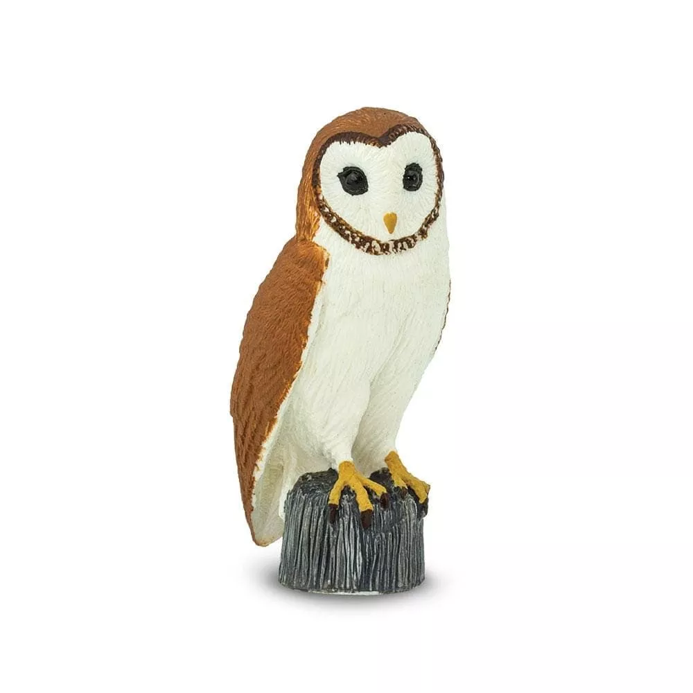 Wings of the World Figure: Barn Owl